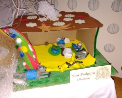 IMG_20211220_135019625