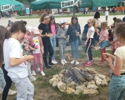 Wycieczki Bałtów Basen Bawialnia