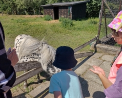 IMG_20230725_104343292_HDR