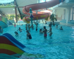 IMG_20230727_103920081_BURST003