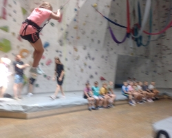IMG_20240717_113237177_BURST002