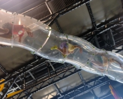 IMG_20240726_111351281_copy_1152x648