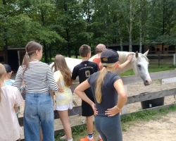 IMG_20240723_114131691