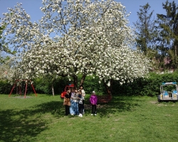 IMG_20240411_130121761_copy_1843x1382
