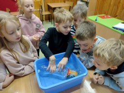 IMG_20241113_094124407