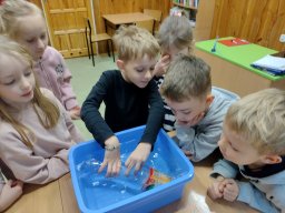IMG_20241113_094125307