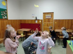 IMG_20241113_094522791