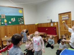 IMG_20241113_094552088