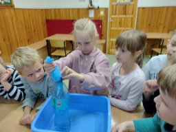 IMG_20241113_095314649