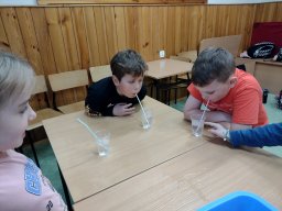 IMG_20241114_140345642