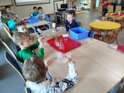 IMG_20250130_111005