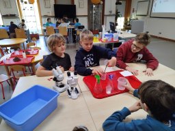 IMG_20250130_111100
