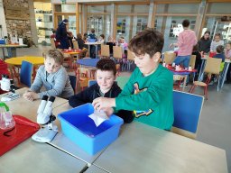 IMG_20250130_111846
