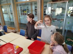IMG_20250130_111859