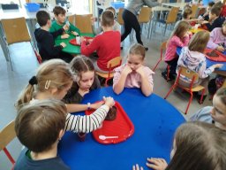 IMG_20250130_112952