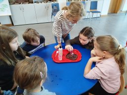 IMG_20250130_113009