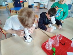 IMG_20250130_113905