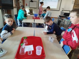IMG_20250130_113922