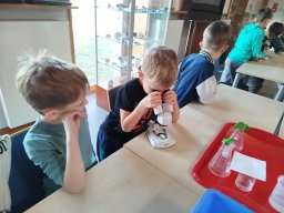 IMG_20250130_113925