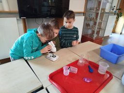 IMG_20250130_113939