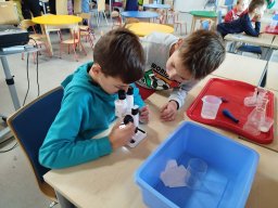 IMG_20250130_113948