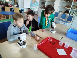 IMG_20250130_115332