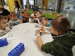 IMG_20250128_104539