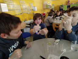 IMG_20250128_110636