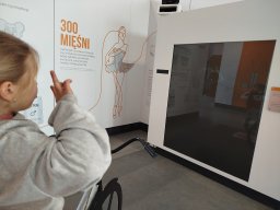 IMG_20250128_113755