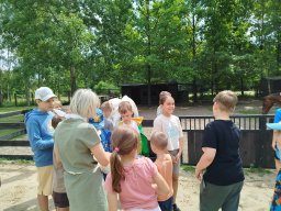 IMG_20250716_110432