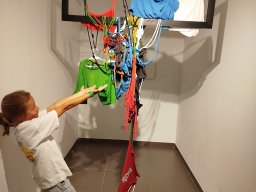IMG_20250702_114141