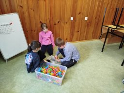 IMG_20250331_102529