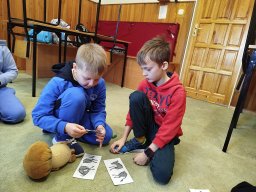 IMG_20250217_102047