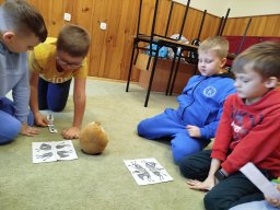 IMG_20250217_102816