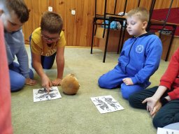 IMG_20250217_102819