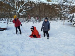 IMG_20250114_121927