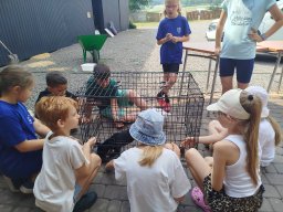 IMG_20260701_100542
