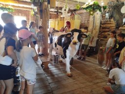 IMG_20260701_110243