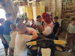 IMG_20260701_110354