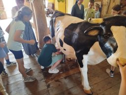 IMG_20260701_110717