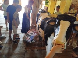 IMG_20260701_110725