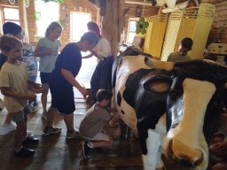 IMG_20260701_110728
