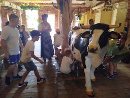 IMG_20260701_111048