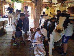 IMG_20260701_111520