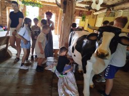 IMG_20260701_111523