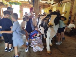 IMG_20260701_111650