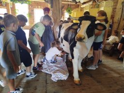 IMG_20260701_111655