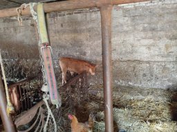 IMG_20260701_121955