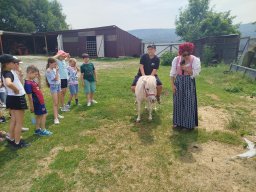 IMG_20260701_122331