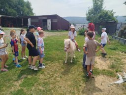 IMG_20260701_122346